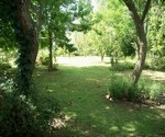 greyton cottage 6 du toit street large gardens