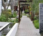 nursery path fiore garden centre greyton