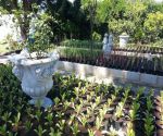 greyton fiore garden centre nursery view