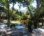 greyton fiore garden centre view of gardens