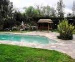 greyton self catering accommodation old vigne lane swimming pool