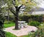 greyton accommodation cottages old vigne lane picnic area