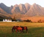 greyton bed and breakfast horse riding activities
