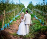 greyton wedding venue oewerzicht field views